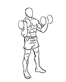 standing-inner-biceps-curl-2