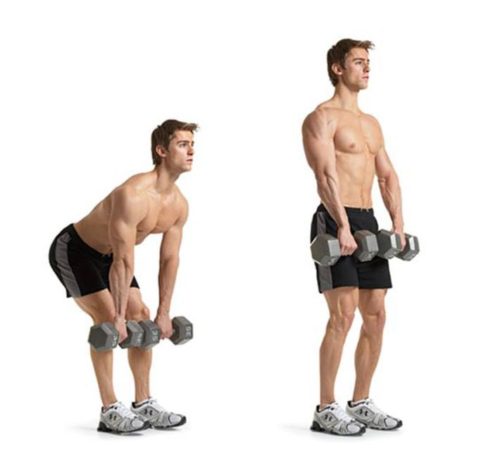 Dumbell Deadlift Fitness Workouts And Exercises