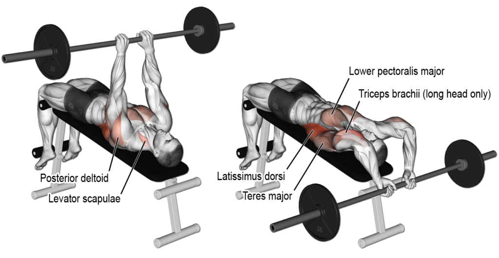 dumbbell pullover form