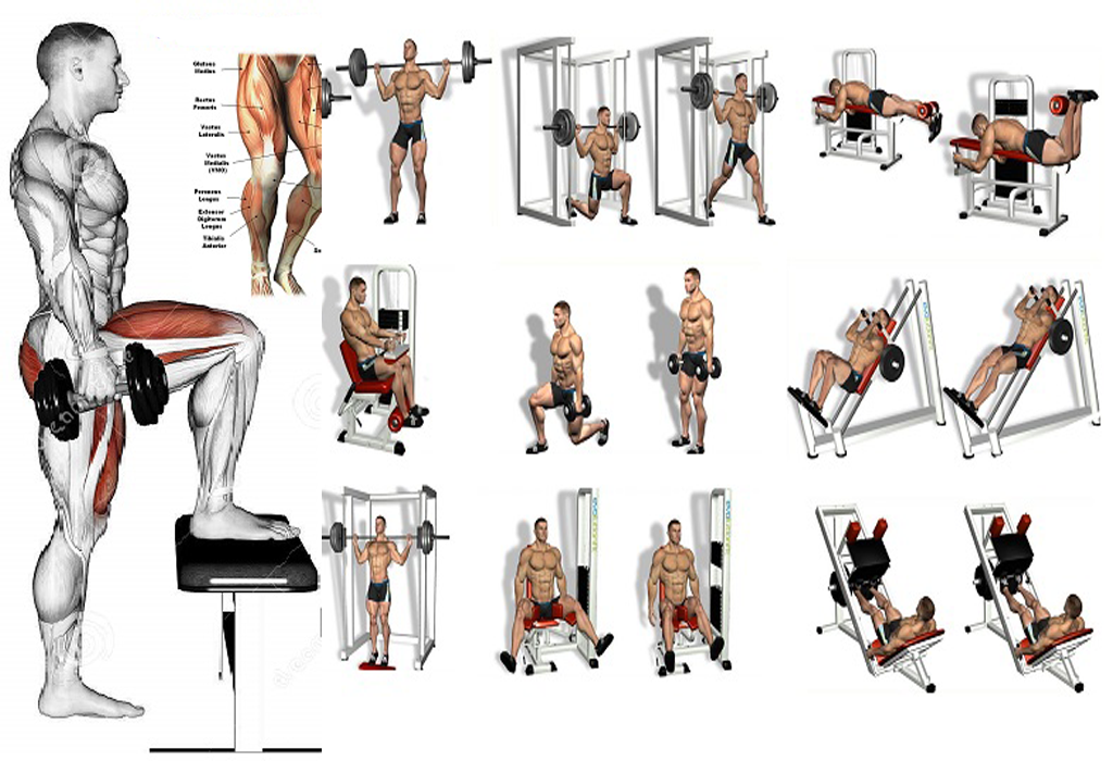 Leg Workouts A Beginner S Guide Fitness Workouts Exercises